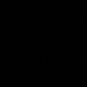 Meet your Posher, Rose